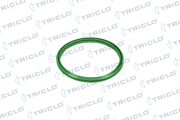 Junta tórica de conducto aire admisión TRICLO 442252