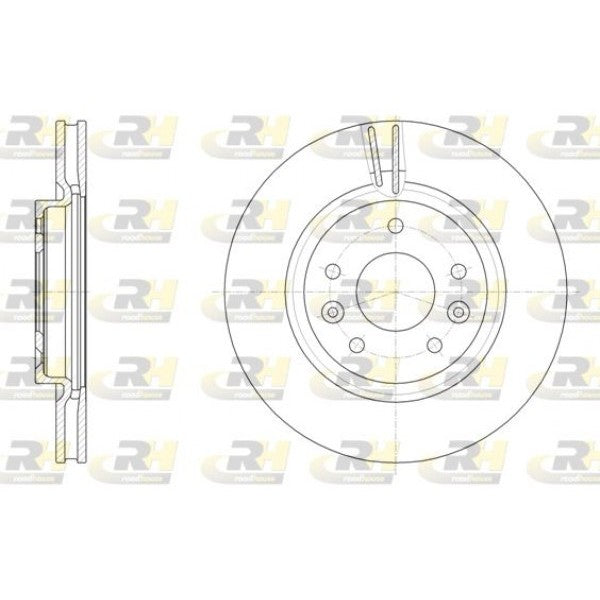 Juego de 2 discos de freno ROADHOUSE para NISSAN Leaf I Electric 2010–2017 - OEM 402064BA0A