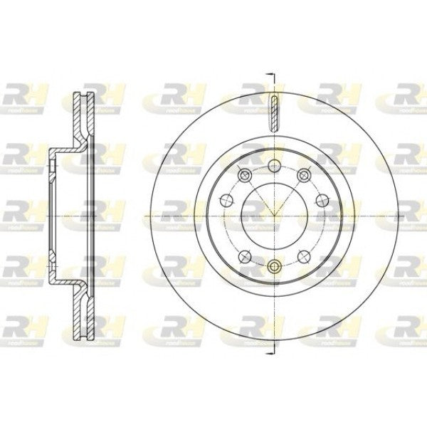 Juego de 2 discos de freno ROADHOUSE para PEUGEOT 308 I 1.6 HDi 2013–2014 - OEM 1610704680