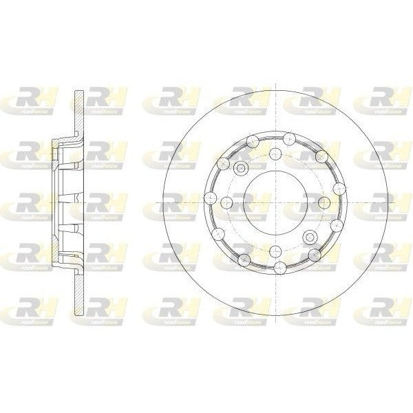 Juego de 2 discos de freno ROADHOUSE para CITROEN C4 III 1.2 PureTech 100 2021 - OEM 1643574180