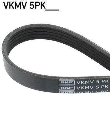 Correa trapecial poli V SKF VKMV 5PK1811