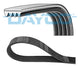 DAYCO 4PK830EE Correa trapecial poli V
