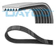 Correa trapecial poli V 6PK1095