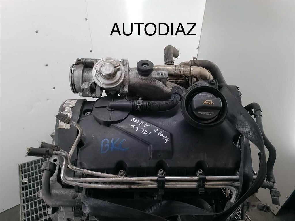 Motor Volkswagen Golf V 1.9 TDI BKC
