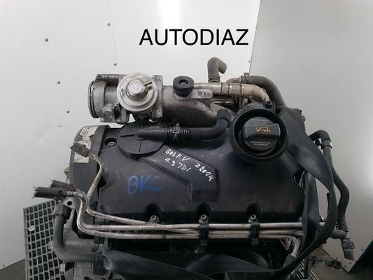 Motor Volkswagen Golf V 1.9 TDI BKC