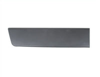 Moldura puerta trasera, con clips, negro (Chasis largo) — FIAT DUCATO 3 fase 1 desde 06/2006 hasta 05/2014 - derecho